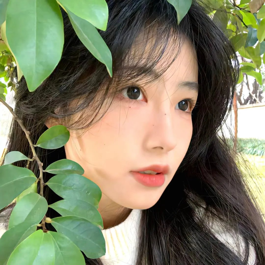 法医秦明2清道夫