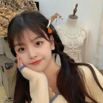 躲在阁楼的安妮·法兰克